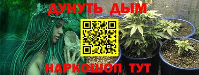 гидропоника Кунгур